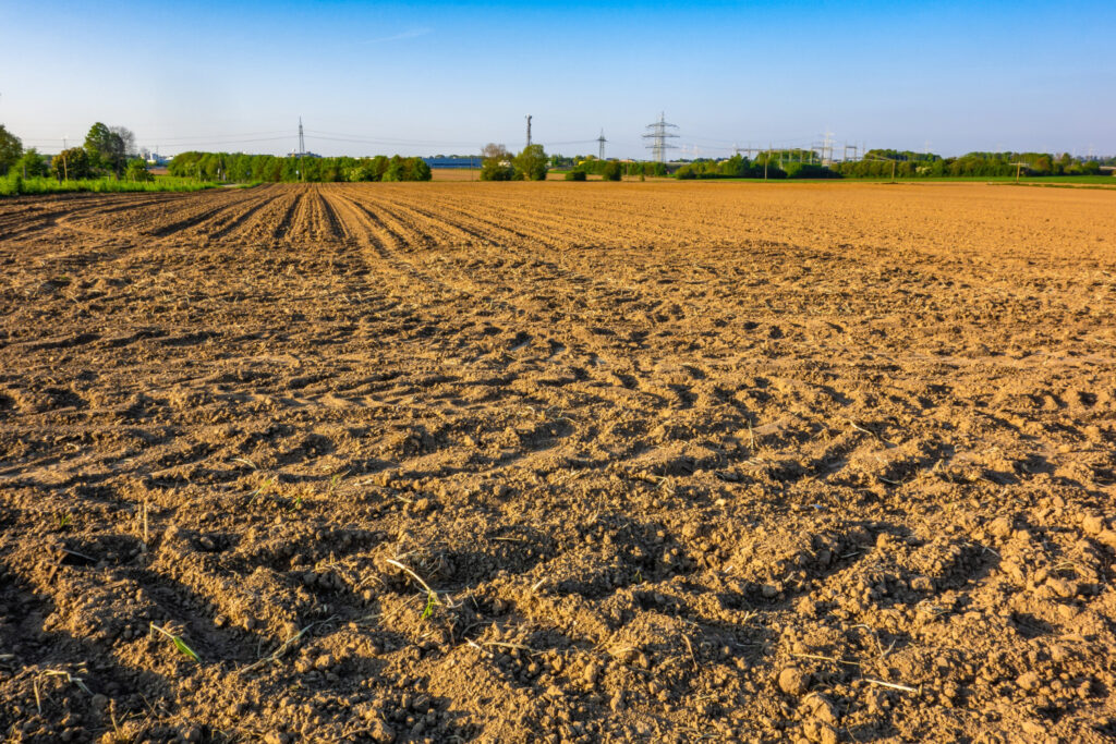 Recupero terreni agricoli incolti.