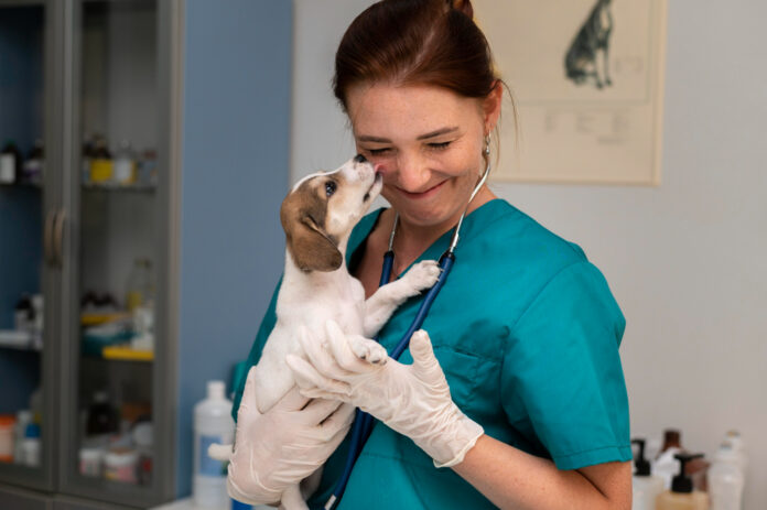 Detraibilità spese veterinarie,Dichiarazione dei redditi spese veterinarie,Benefici fiscali per animali domestici,Detrazione fiscale cure animali,Normative fiscali spese veterinarie,Documentazione spese veterinarie detrazione,Limiti di spesa cure veterinarie,Spese mediche animali domestici detraibili,