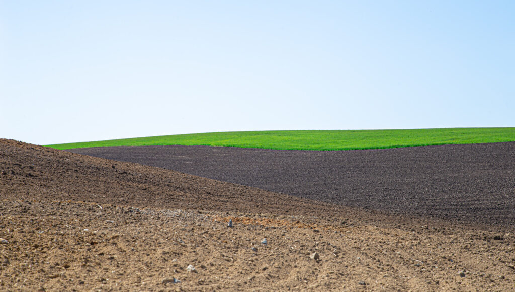 Regime fiscale e finanziamenti per le aziende agricole biologiche