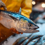 Bonus fiscali pesca: guida aggiornata al 2024