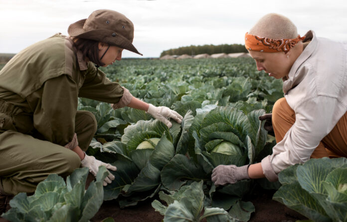 CONTRIBUTI AGRICOLTORI CAMPANIA