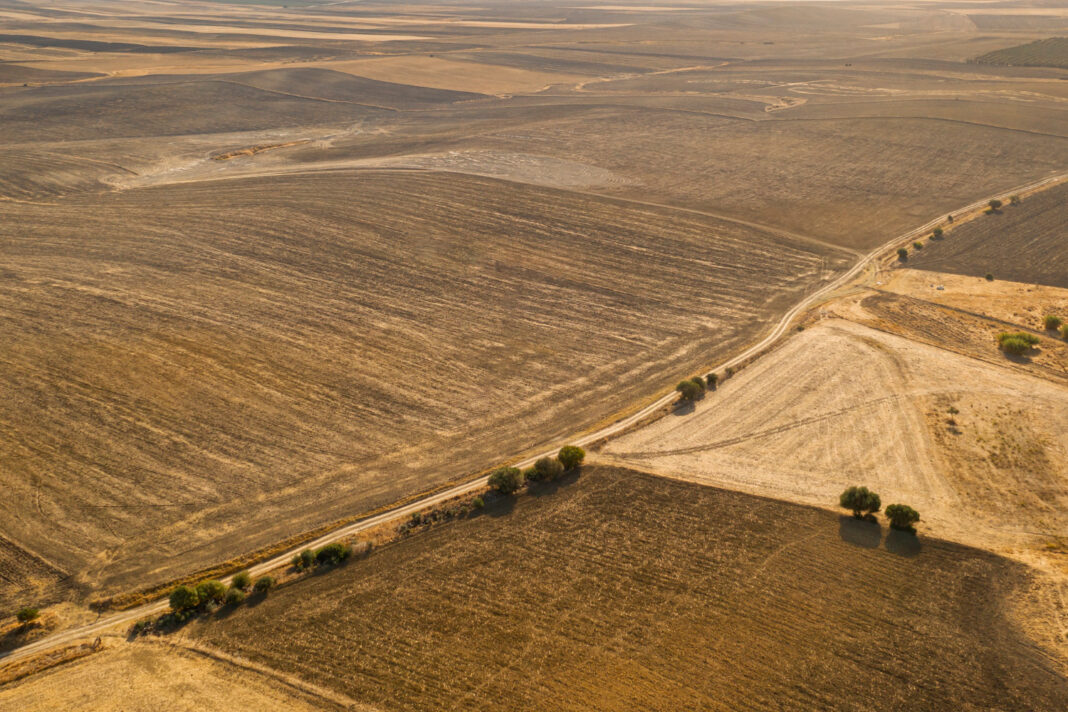 Bando per investimenti nelle attività di diversificazione aziendale