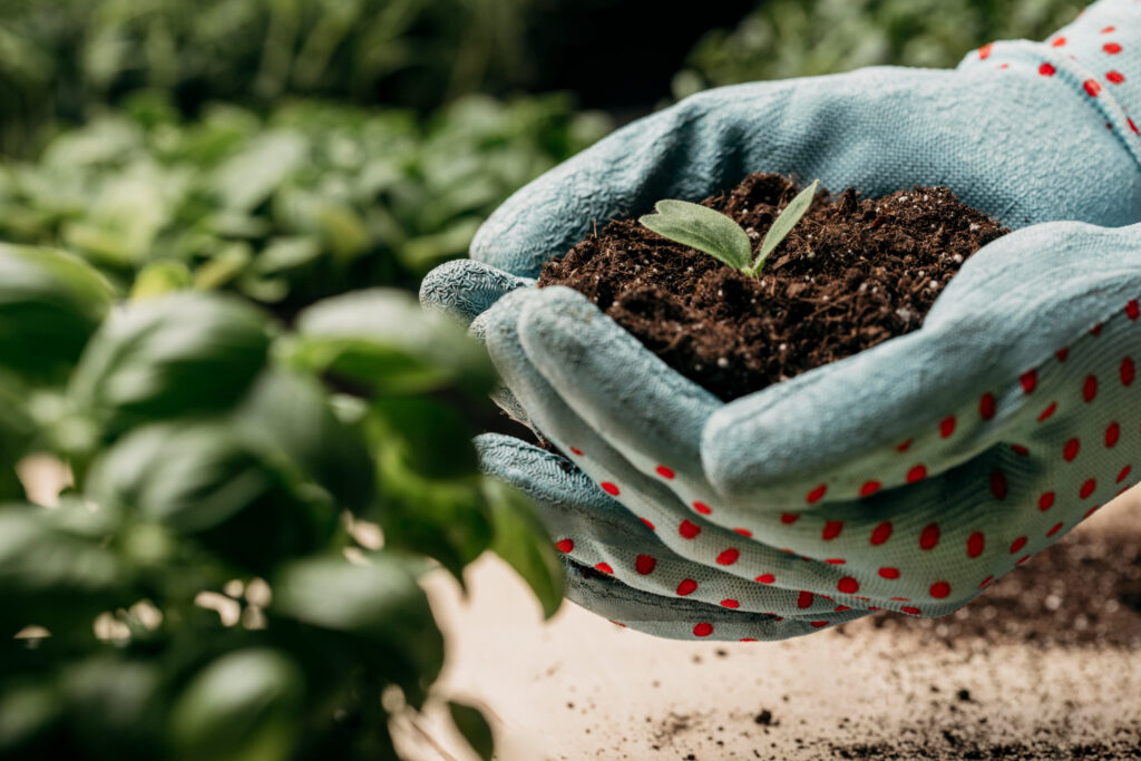 Agevolazioni IVA Fertilizzanti: aliquota ridotta al 4% per prodotti nazionali ed esteri