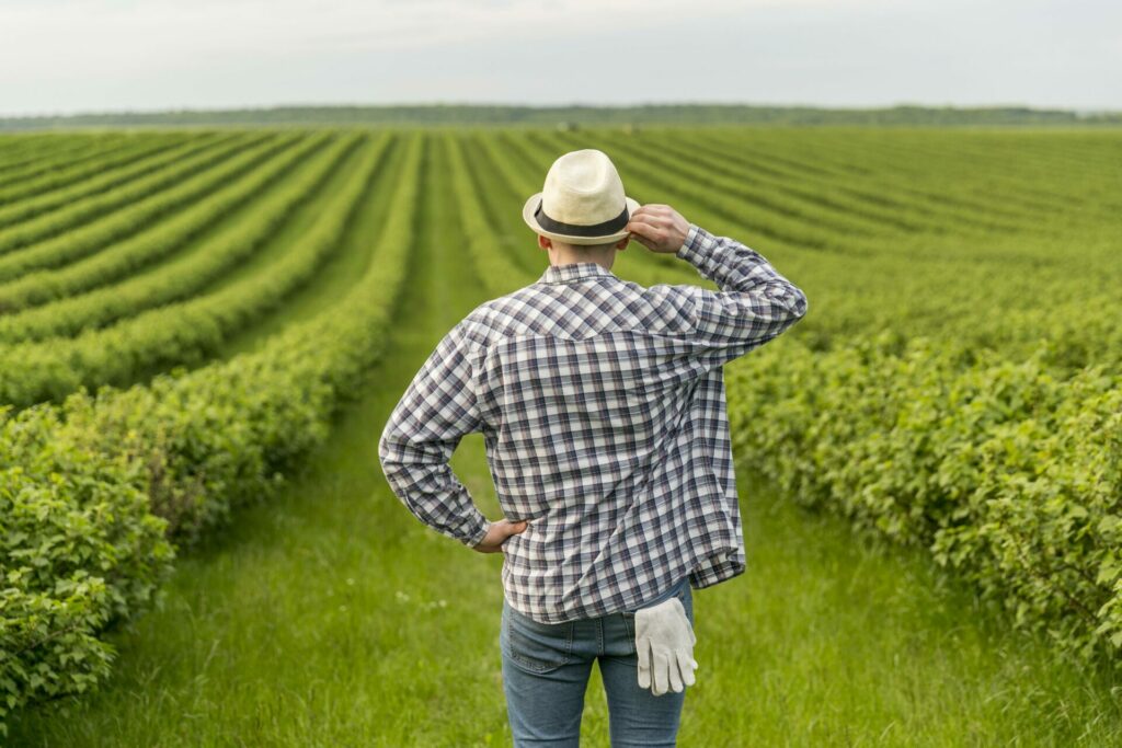 IAP: Cos’è, Come Diventarlo e Vantaggi Agricoltori Commercialista.it